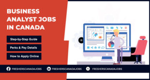 Business Analyst Jobs