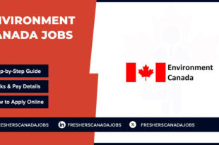 Environment Canada Jobs