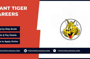 Giant Tiger Careers