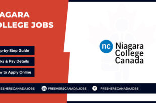  Niagara College Jobs